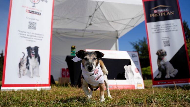Purina отново се включва в „Нестле за Живей Активно!“ на 14 септември с важна социална кауза