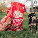 Purina достави 1 тон надежда: обещаната храна на софийското издание “Нестле за Живей Активно!” стигна до 120 кучета в нужда